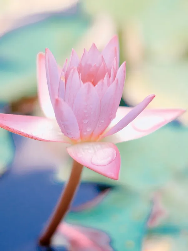 Sådan kommer du selv i gang med mindfulness