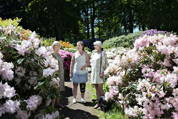 Tre kvinder staar i en flot have.